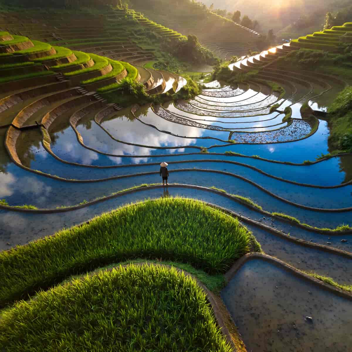 Aerial drone photograph, top-down perspective of terraced rice fields after a storm, mirrored water