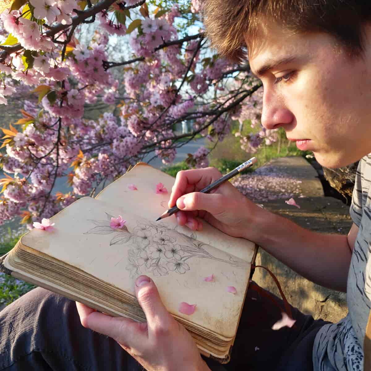 Cherry Blossoms example generated with ImagineArt 1.5