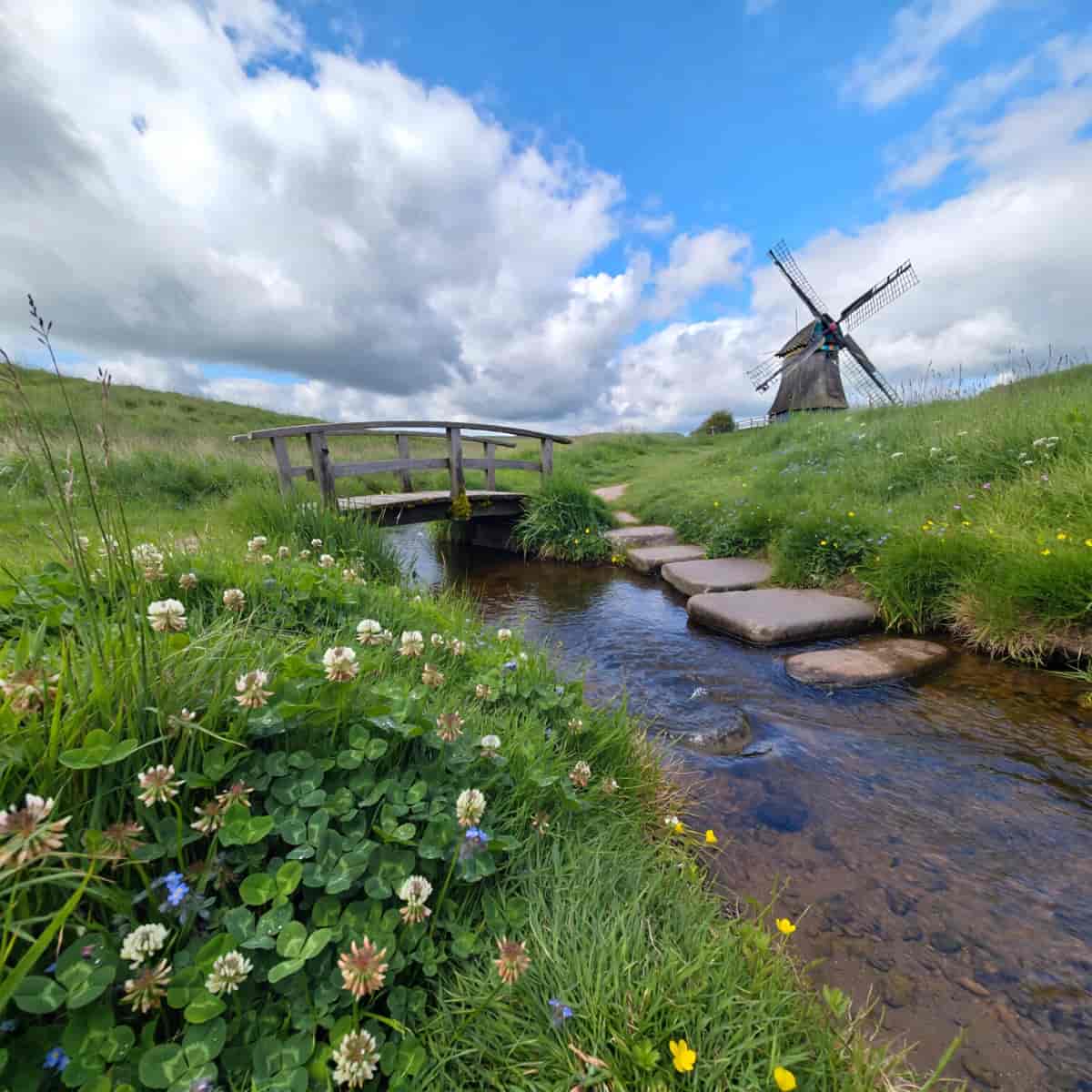 Magical Nature example generated with ImagineArt 1.5